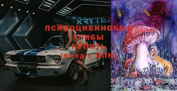 соль ск Михайлов