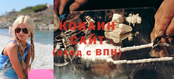 соль ск Михайлов