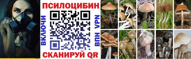 Галлюциногенные грибы Psilocybe  Купить  Ульяновск 